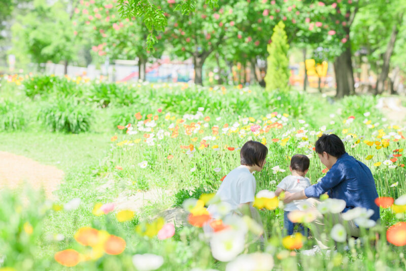 花畑で遊ぶ親子