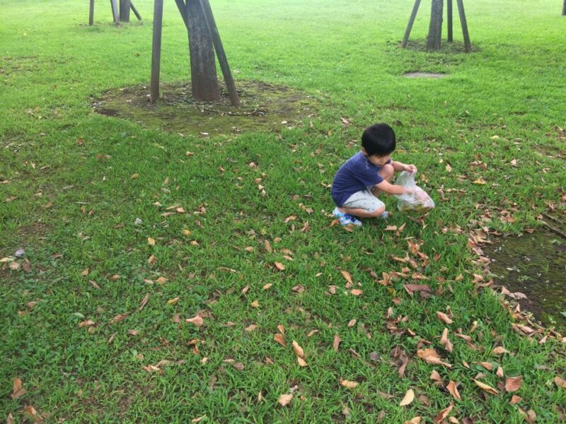 落ち葉を集める子ども