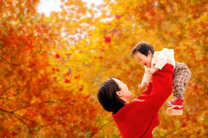 紅葉トリビア