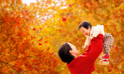 紅葉トリビア