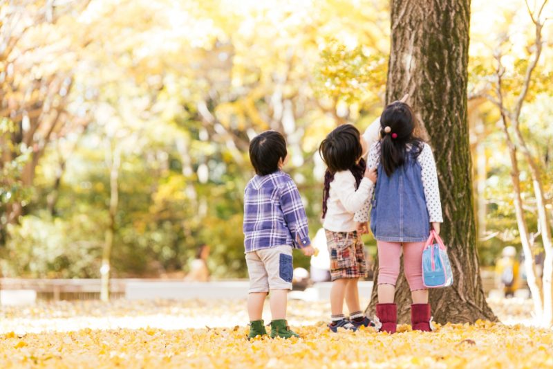 紅葉狩り なぜ